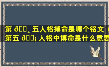 第 🌸 五人格搏命是哪个铭文（第五 🐡 人格中博命是什么意思）